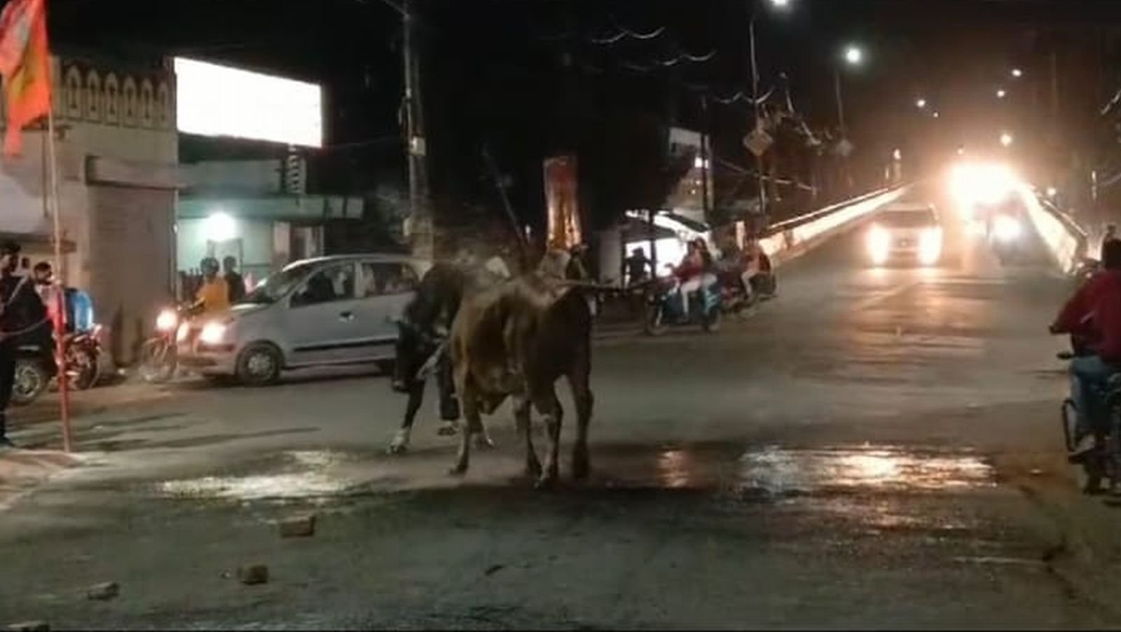 मुख्यमंत्री जी ! ये कानून नहीं जानते, ऐसे ही लड़ेंगे...पर आपका सिस्टम तो कुछ कर सकता है