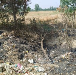 रोड किनारे कू़डे़ के ढेरों में आग लगा रही पालिका, जले जा रहे पेड़