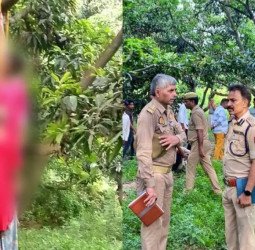 याद आया बदायूं का 'कटरा कांड'...अब इस जगह पेड़ पर लटकी मिलीं दो सहेलियों की लाश