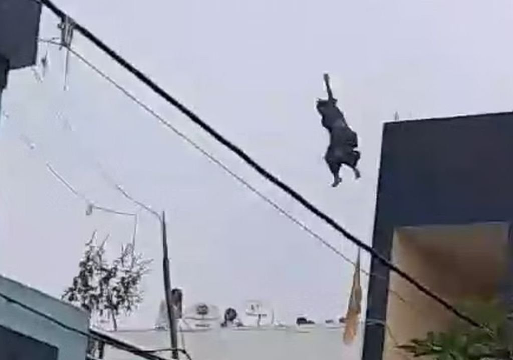 आत्महत्या 'लाइव': पति से विवाद हुआ तो तीसरी मंजिल से कूदकर महिला ने दी जान (देखें वीडियो)