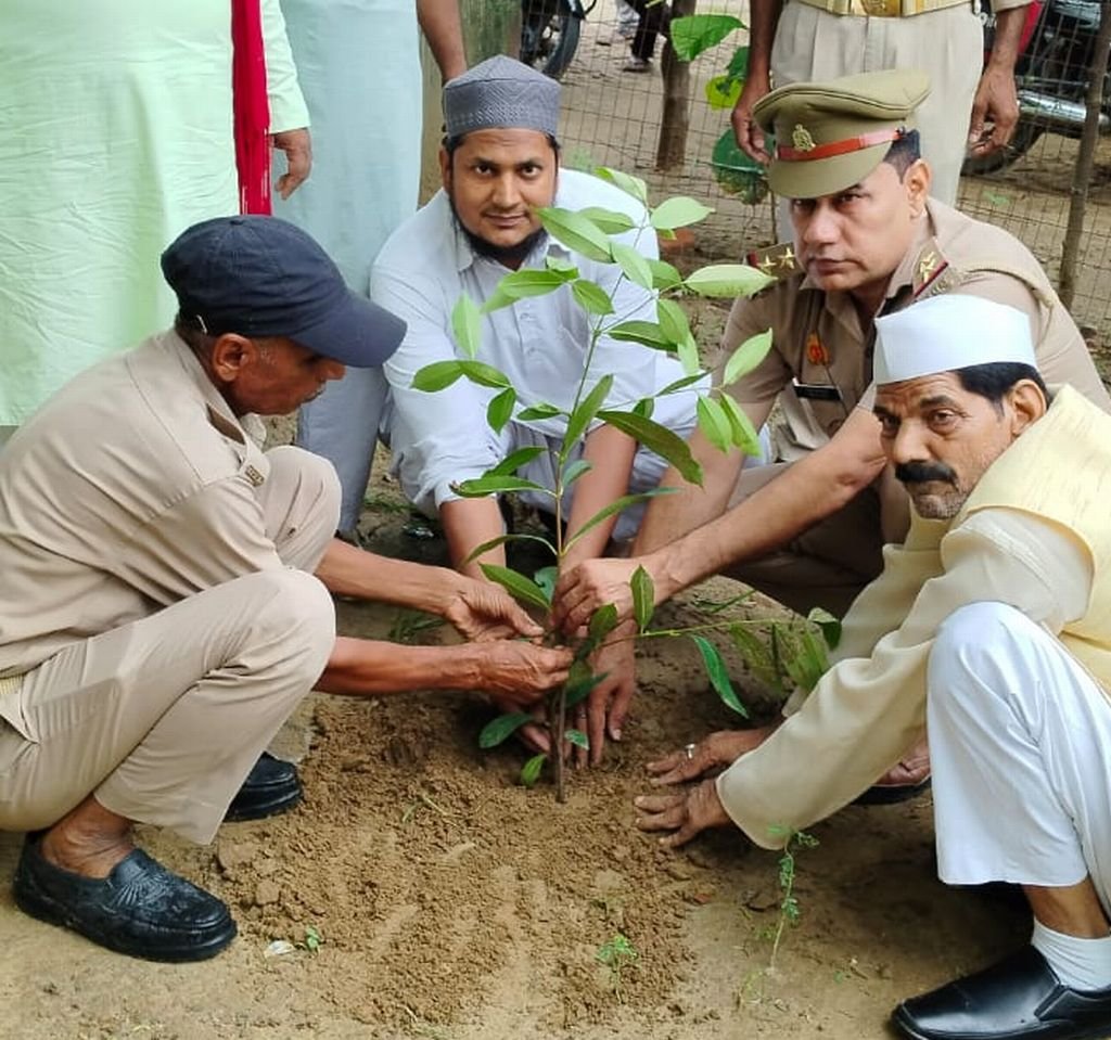 वरिष्ठ पत्रकार हामिद अली खां राजपूत ने 62वें जन्मदिन पर किया पौधरोपण