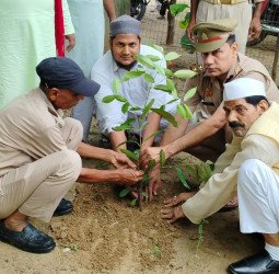 वरिष्ठ पत्रकार हामिद अली खां राजपूत ने 62वें जन्मदिन पर किया पौधरोपण
