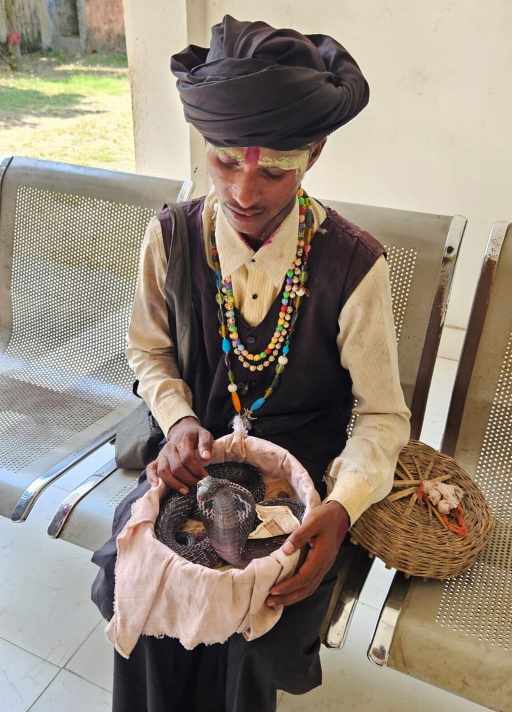 सावन में 'नाग दर्शन' करवाना पड़ गया महंगा...वन विभाग ने लिखाया मुकदमा