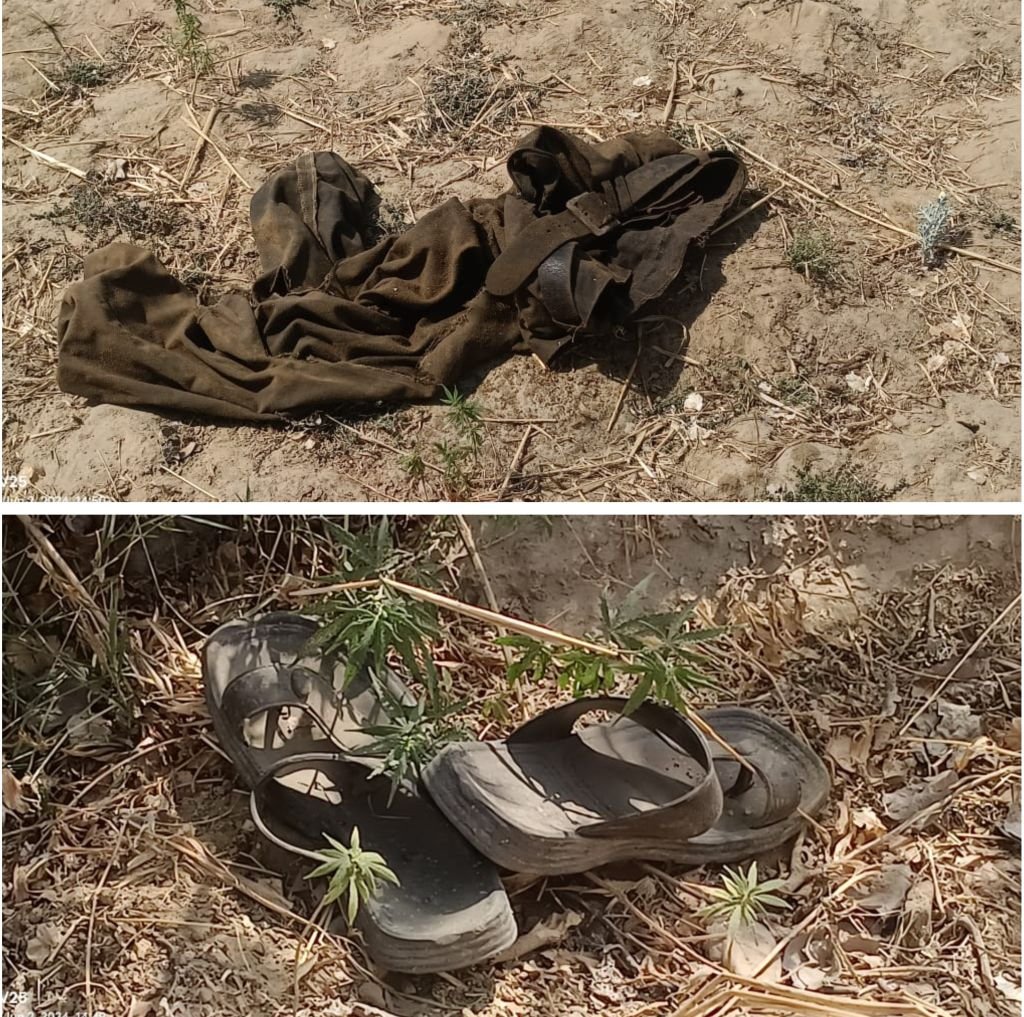 मेडिकल कॉलेज के पास मिला कुछ ऐसा...खौफजदा हो गए लोग