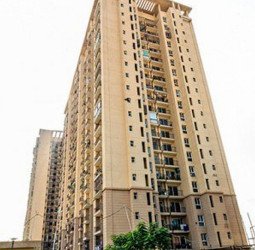 फ्लैट से आ रही थी बदबू...अंदर सड़ चुकी थी महिला की लाश, रेंग रहे थे कीड़े