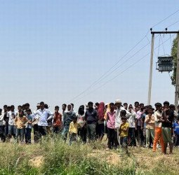 घास छीलने गई थीं महिलाएं...खेत में कुछ ऐसा देखा कि निकल गई चीख