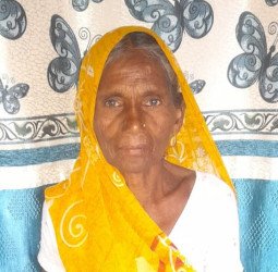 रोड पार कर रही थी बुजुर्ग महिला, बाइक की टक्कर से हुई मौत