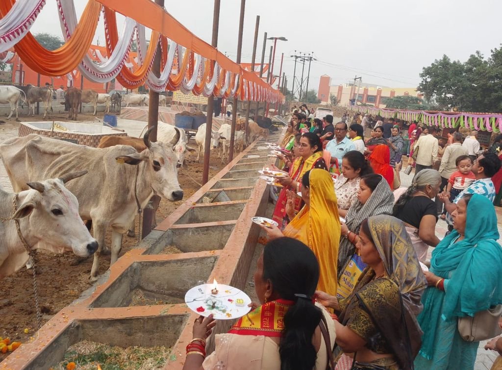 गोपाष्टमी पर पूजी गईं गौमाता, गौशाला में मना गौ महोत्सव, हुई गौ आरती