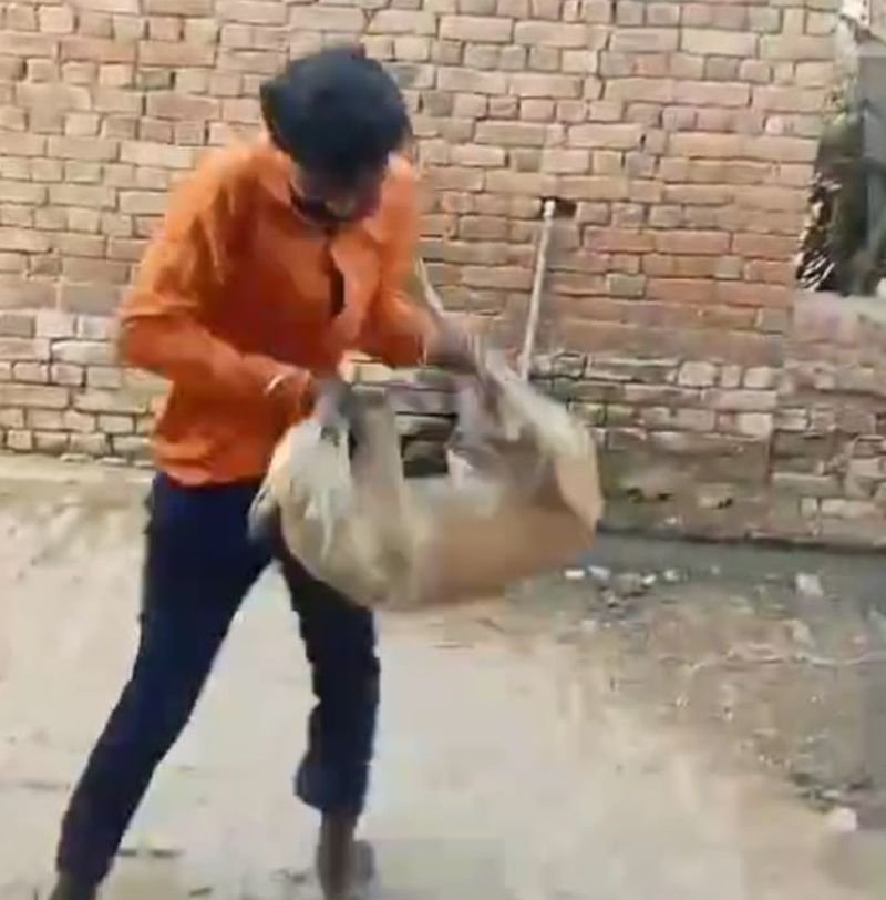 शराब पीकर महिला से गालीगलौज, पीटने की कोशिश...बस नहीं चला तो कुत्ते को उठाकर पटक दिया