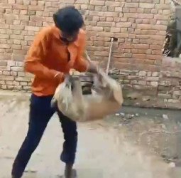 शराब पीकर महिला से गालीगलौज, पीटने की कोशिश...बस नहीं चला तो कुत्ते को उठाकर पटक दिया