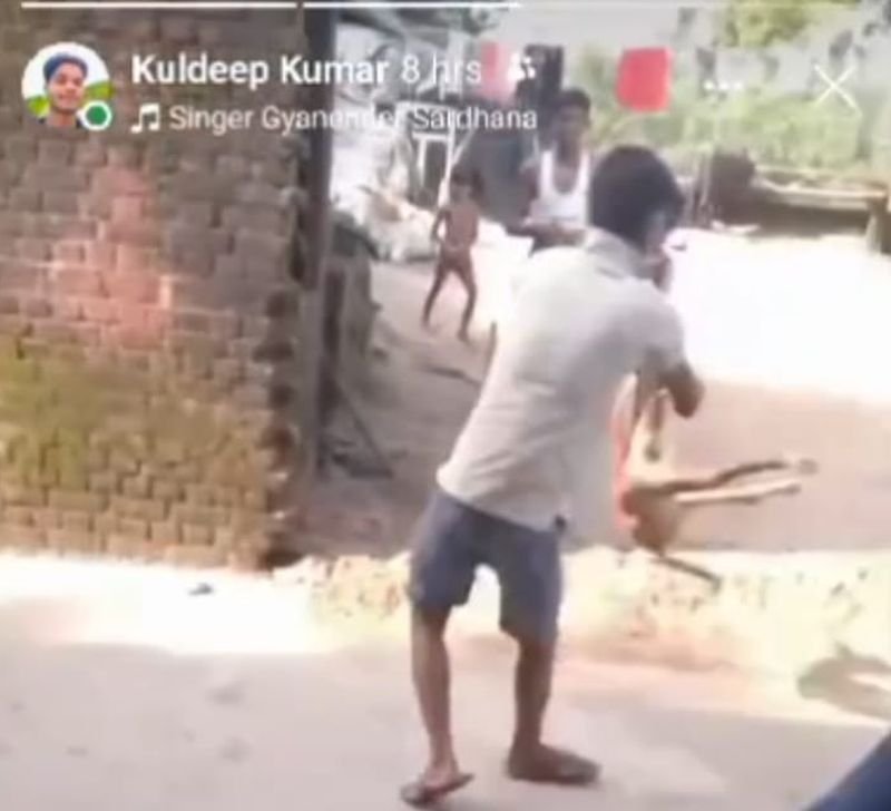 वीडियो: बेजुबान कुत्ते की ये हालत करके खुद को समझ रहा शेर...आप भी देखिये इस 'शेर' को