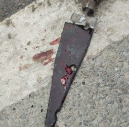 सहसवान में भाला मारकर गाय की हत्या, इस्लामनगर में 'लापरवाही' ने ले ली गौमाता की जान