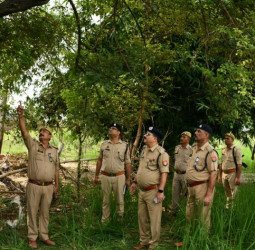 पेड़ पर लटके थे युवक और किशोरी के शव...प्रेमप्रसंग में सुसाइड या मामला कुछ और, जानिये कहां हुई घटना