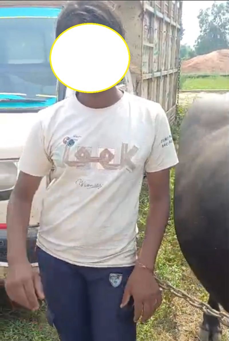 भैंस बेचने बाजार पहुंच गई 11 साल की बालिका, शक होने पर लोगों ने बुला ली पुलिस, फिर हुआ ये...