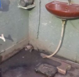 नालों पर बना लिए चबूतरे, सफाई नहीं होने से घरों में घुस रहा गंदा पानी और कीचड़